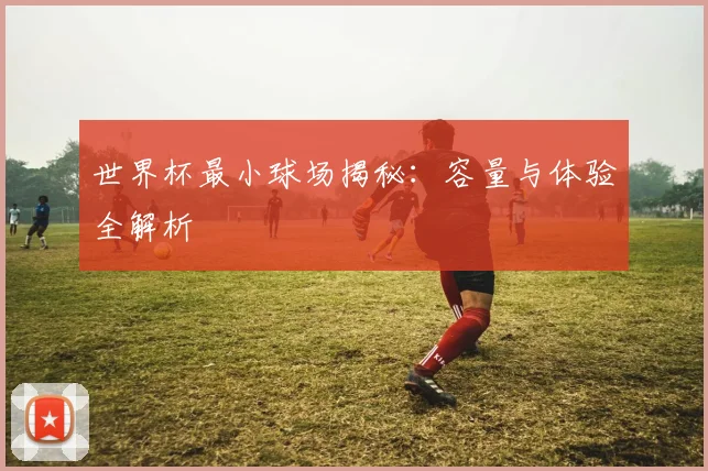 世界杯最小球场揭秘：容量与体验全解析