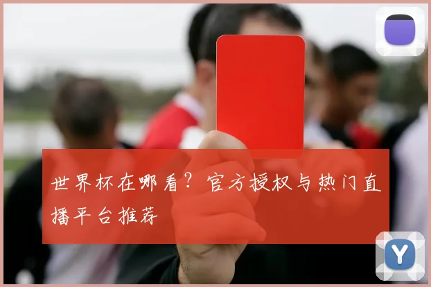 世界杯在哪看？官方授权与热门直播平台推荐