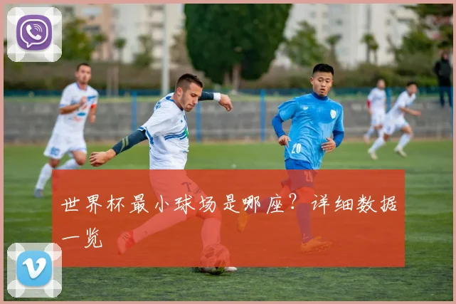 世界杯最小球场是哪座？详细数据一览